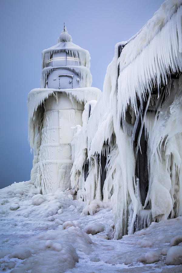 Dressed for Winter Photograph by Krzysztof Hanusiak - Fine Art America