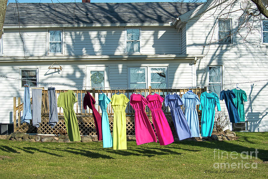 Dresses to Dry in Winter Photograph by David Arment