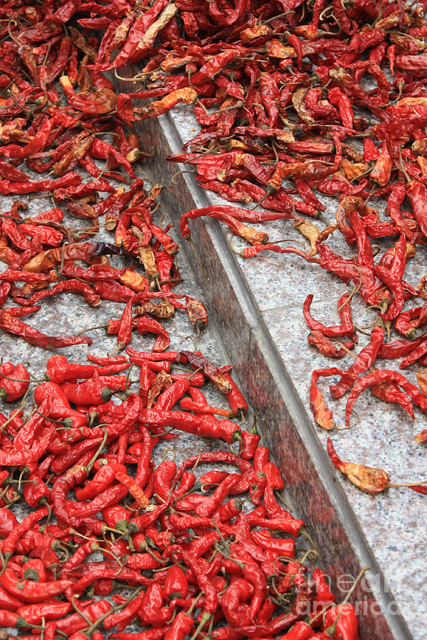 Dried Chili Peppers Photograph by Carol Groenen