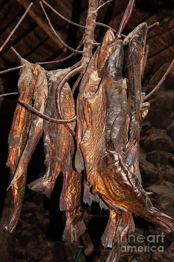 Dried Fish Photograph by Bob Phillips