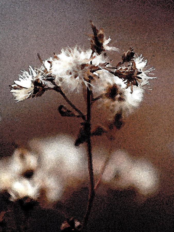 Dried Flowers Painting by Paul Sachtleben