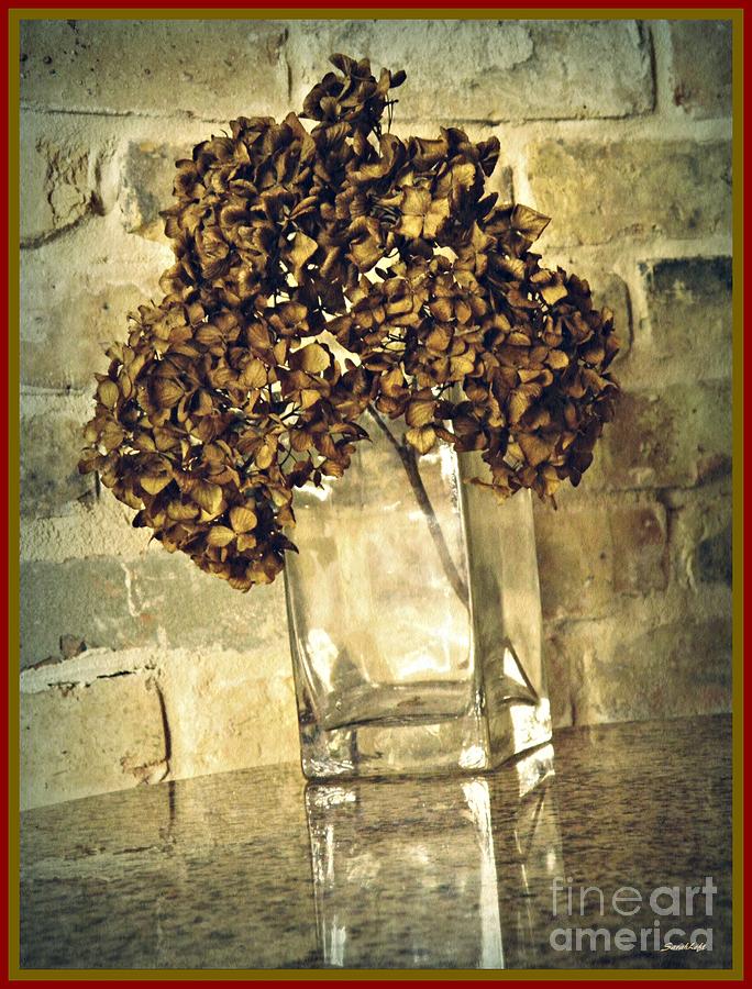Dried Hydrangea 3 Photograph by Sarah Loft