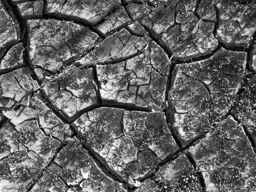 Dried Mud 2 Photograph by Mike McGlothlen