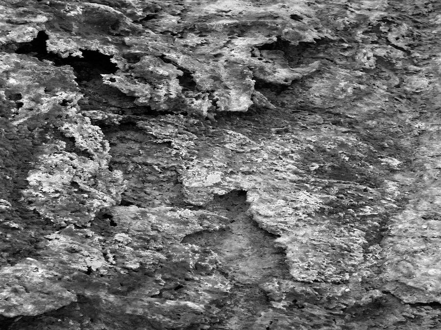 Dried Mud 6 Photograph by Mike McGlothlen