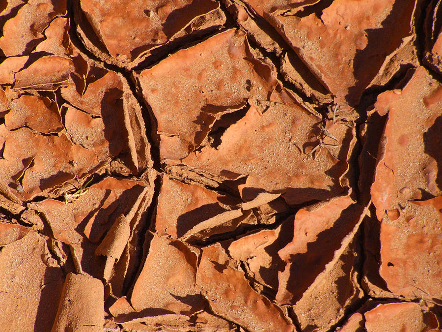 Dried Mud C Photograph by Mike McGlothlen