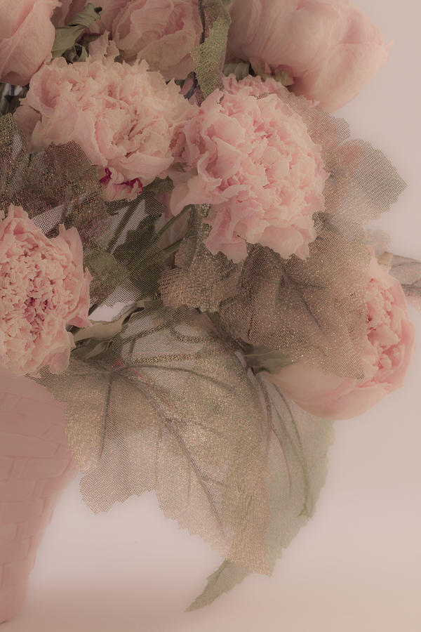 Dried Pink Peonies Photograph by Sandra Foster