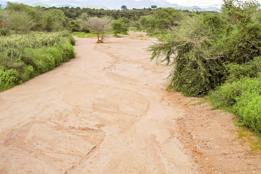 Dried river bad in Malawi Photograph by Marek Poplawski