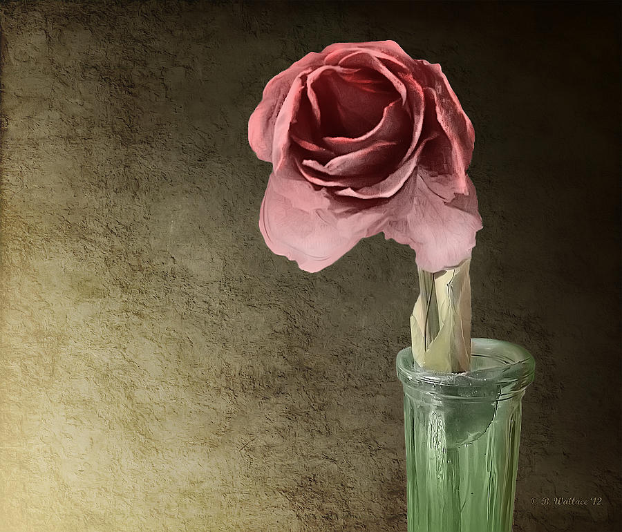 Dried Rose -Digitally Painted Photograph by Brian Wallace