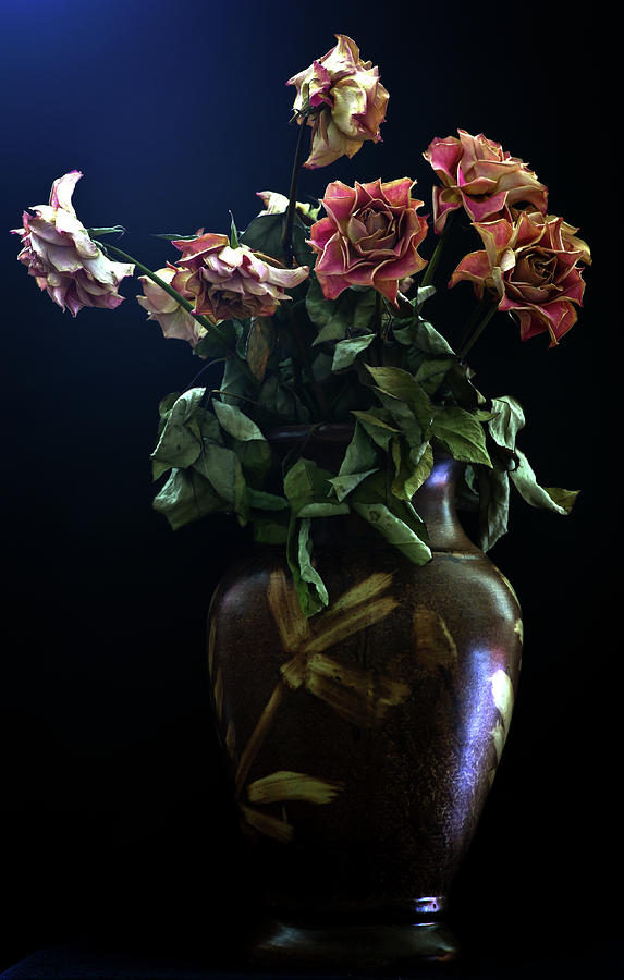 Dried roses in vase Photograph by Jarmo Honkanen