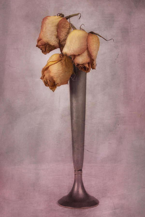 Flower Photograph - Dried Roses Still Life by Tom Mc Nemar
