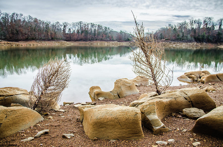 Dried Shrubs at Cherokee Reservoir Photograph by Ryan Ketterer