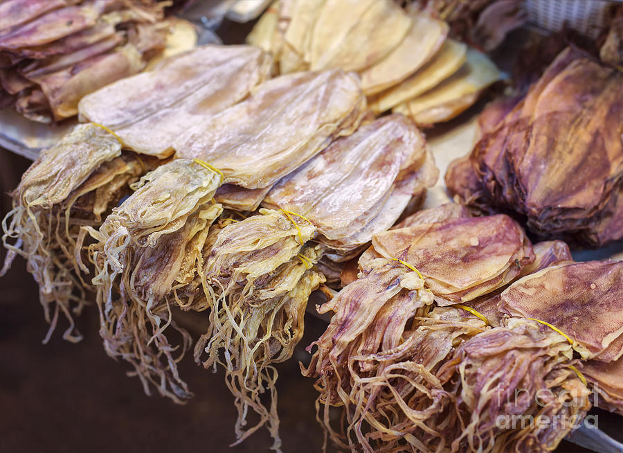 Dried squid at fish market Photograph by Sophie McAulay