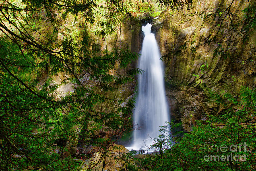 Drift Creek Falls Photograph by Bruce Block