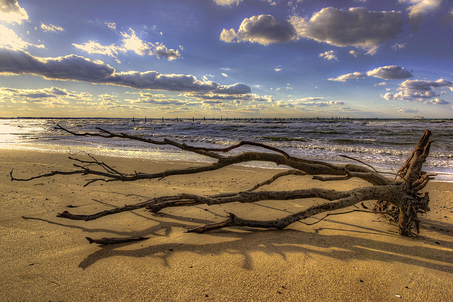 Sunset Photograph - Drifting by Pete Federico