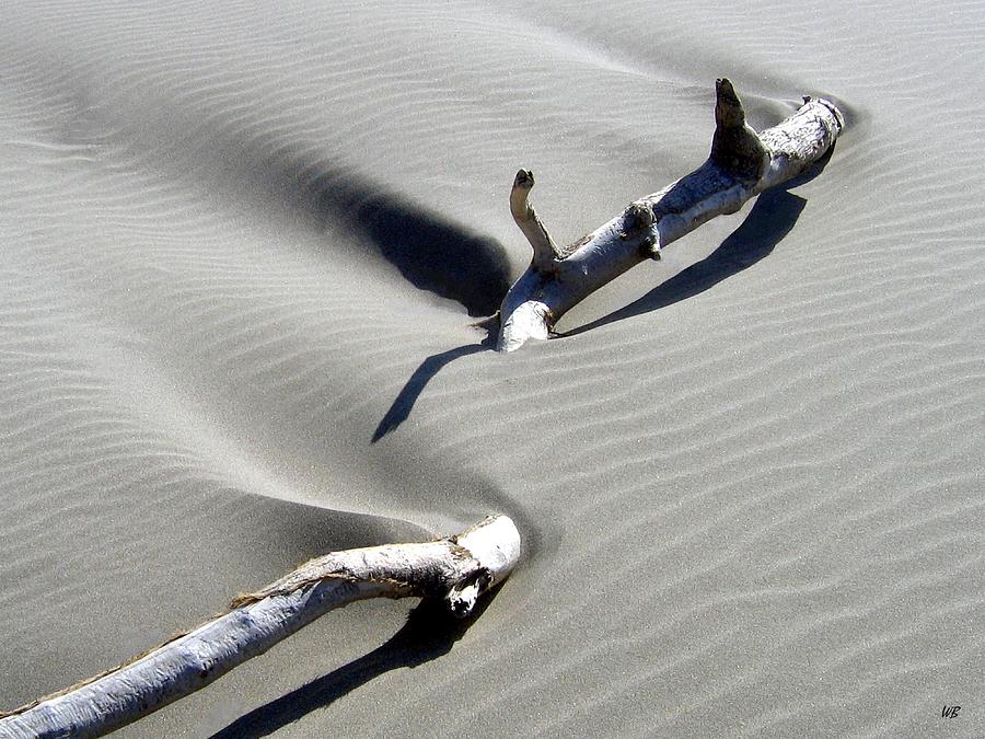 Drifting Sand Photograph