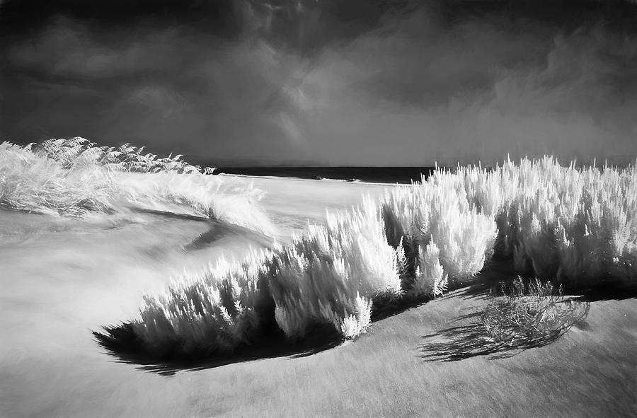 Beach Painting - Drifting Sands II by Dan Carmichael