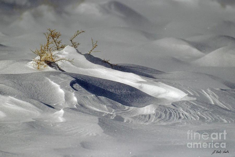 Drifting Snow-Signed-#8207 Photograph by J L Woody Wooden