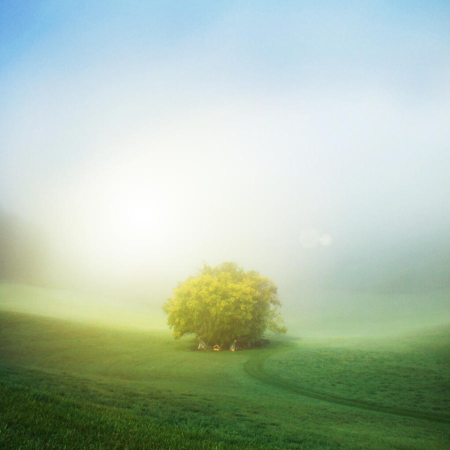 Landscape Photograph - Driftless Morning by Squashyhead