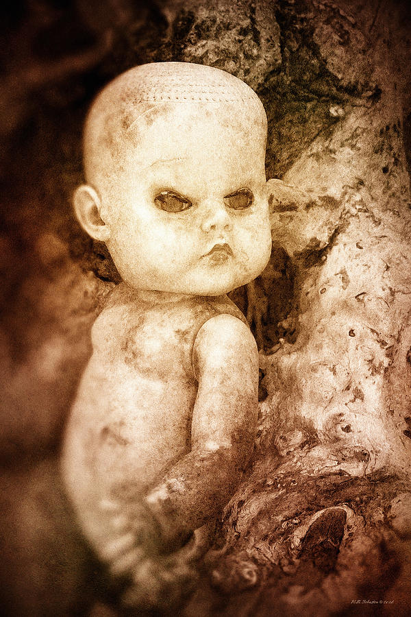 Driftwood Doll Photograph by WB Johnston