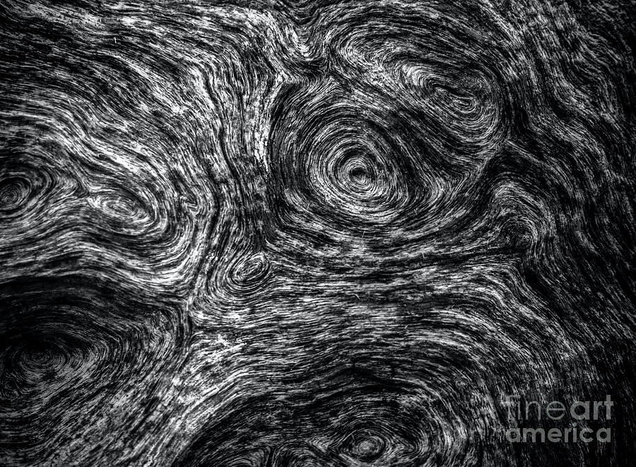 Driftwood Abstract 2 Photograph by James Aiken
