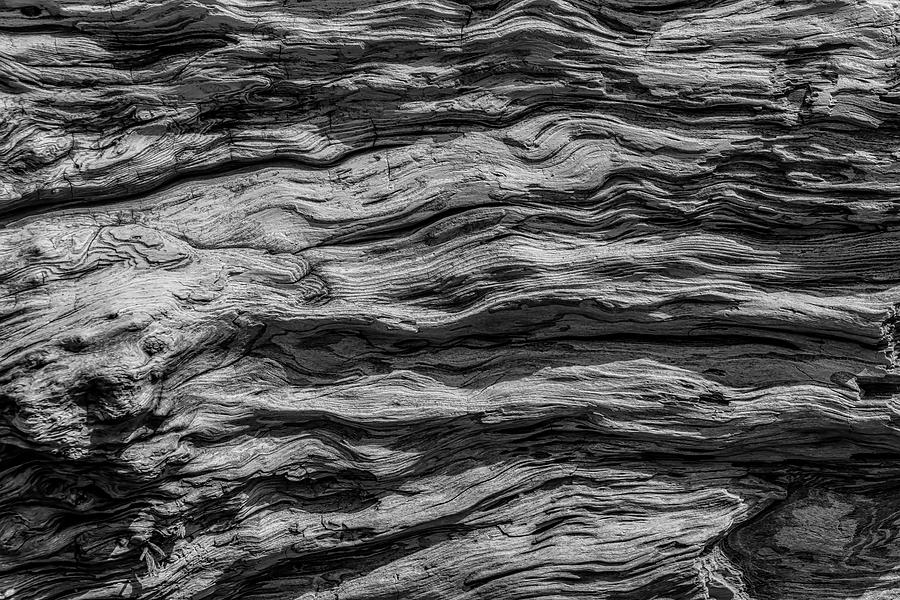 Driftwood Abstract Photograph by Garry Gay