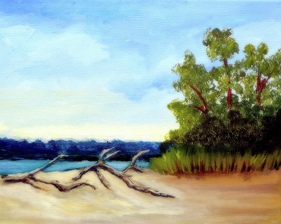 Driftwood and Carolina Pines Painting by Katy Hawk