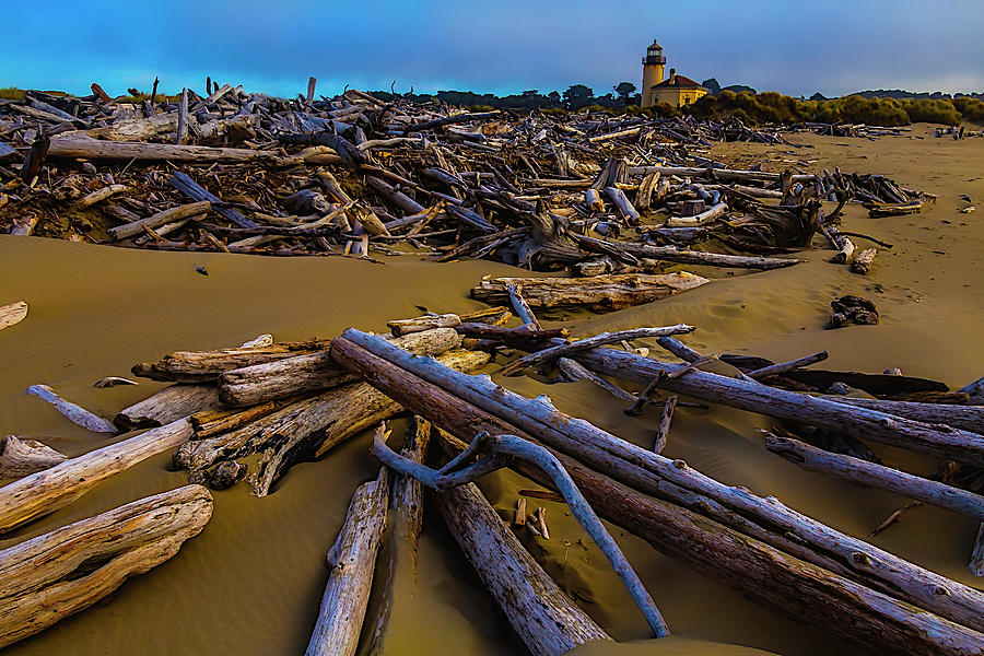 Driftwood And Coquille River Lighthouse, Photograph by Garry Gay