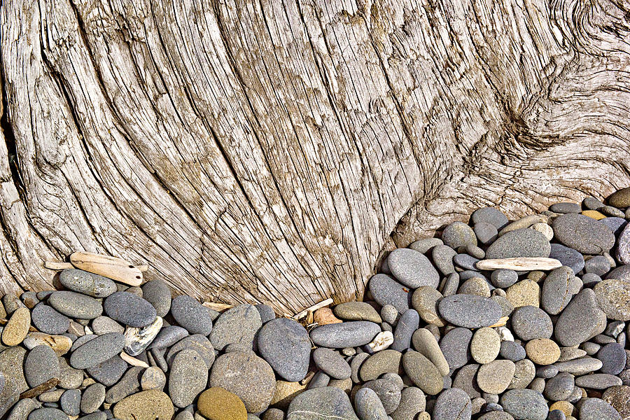 Driftwood and Rock Abstract Photograph by Peter J Sucy