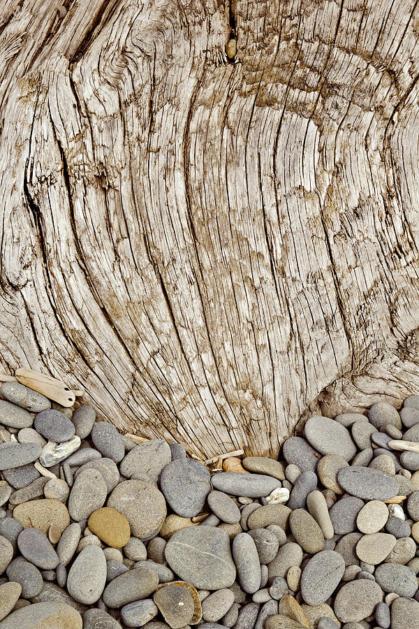 Driftwood and Rock Abstract Vertical Photograph by Peter J Sucy