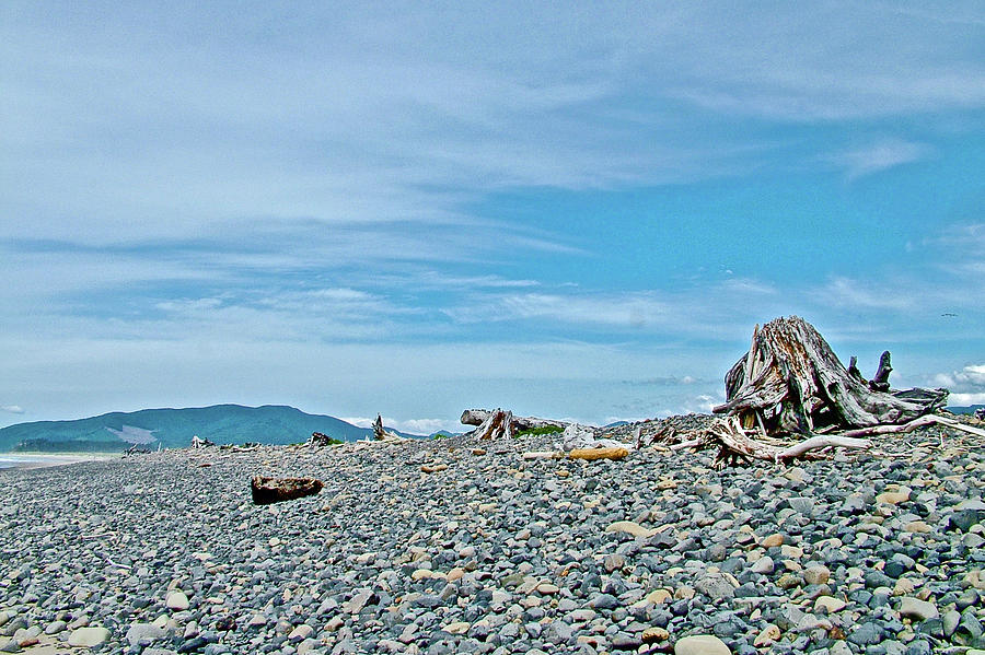Driftwood and Rocks on Cape Meares Beach in Cape Meares State Park, Oregon Photograph by Ruth Hager