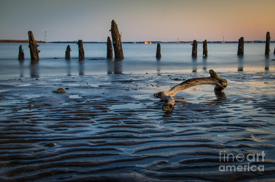 Driftwood And Sandbars Coastal / Nature / Landscape Photograph Photograph by PIPA Fine Art - Simply Solid