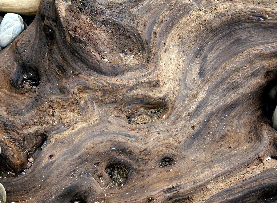 Driftwood and Stone Photograph by Valerie Collins