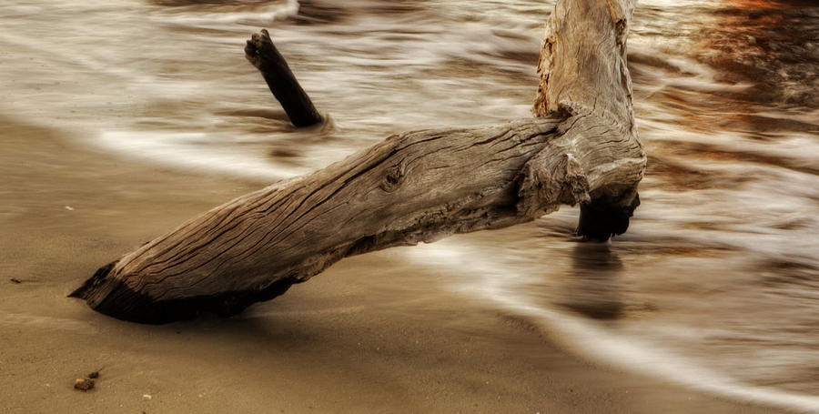Driftwood and Tide Photograph by Greg and Chrystal Mimbs