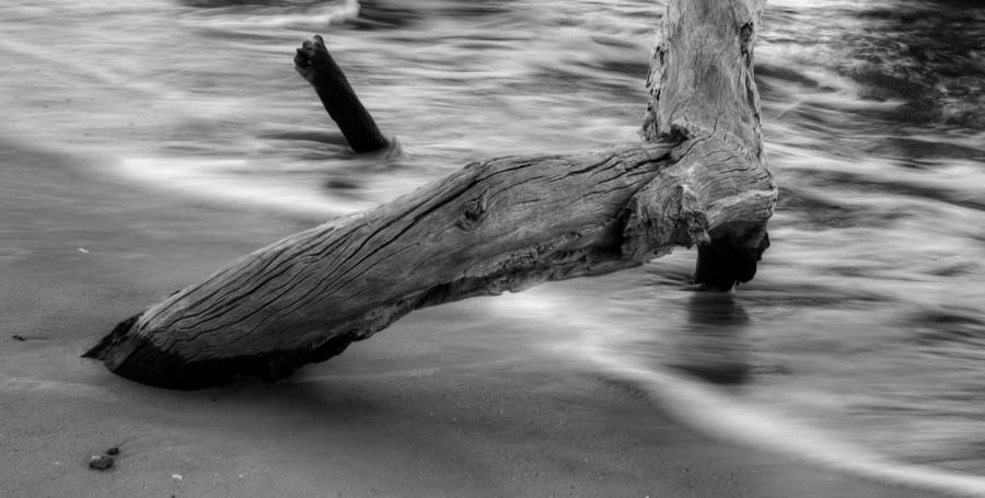 Driftwood and Tide in Black and White Photograph by Greg and Chrystal Mimbs
