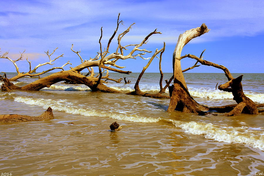 Driftwood And Waves Photograph by Lisa Wooten
