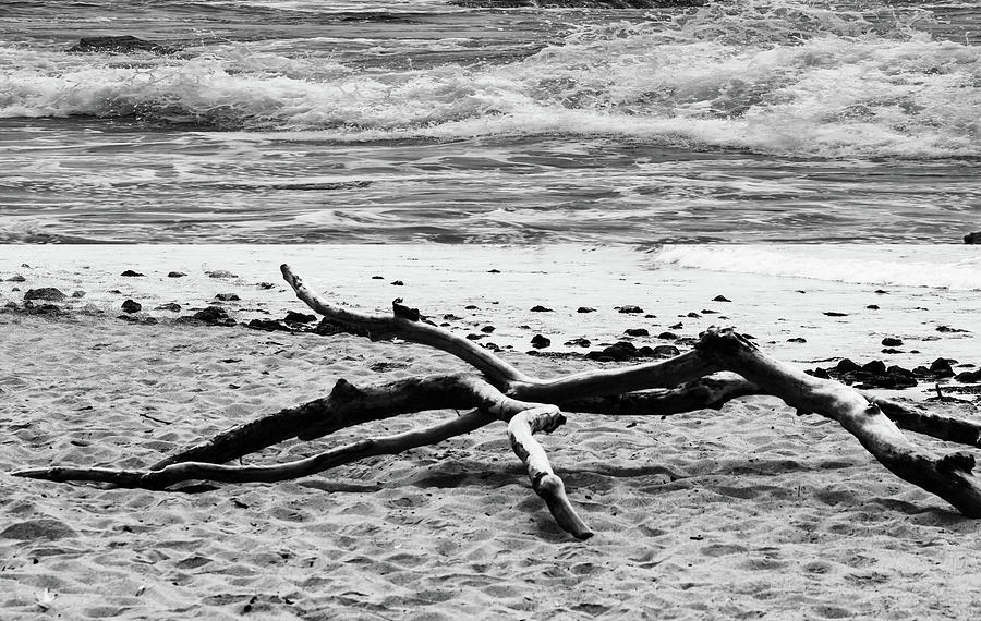 Driftwood And Waves Photograph