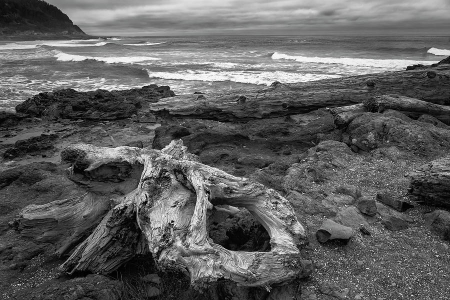 Nature Photograph - Driftwood and Waves by Steven Clark