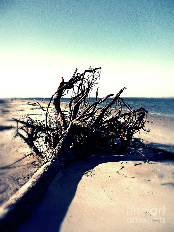 Driftwood At Low Tide Digital Art by Phil Perkins