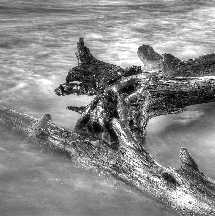 Beach Photograph - Driftwood At Whitefish Point by Twenty Two North Photography Beach Photograph - Driftwood At Whitefish Point by Twenty Two North Photography