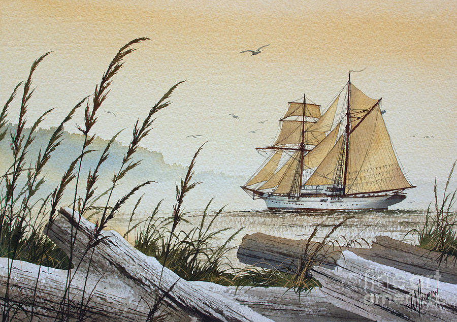 Schooner Painting - Driftwood Bay by James Williamson