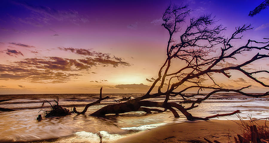 Driftwood Beach 2 Photograph by Dillon Kalkhurst