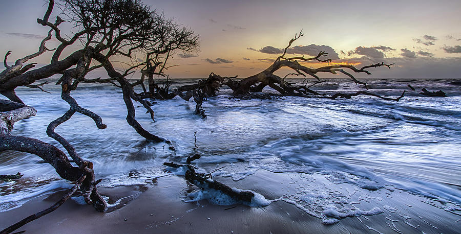 Driftwood Beach 3 Photograph by Dillon Kalkhurst