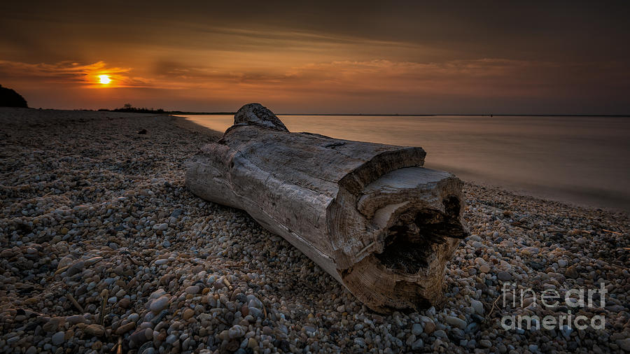Driftwood Beach Photograph by Alissa Beth Photography