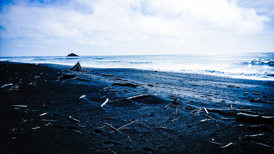 Beach Photograph - Driftwood Beach by Lisa Beth McKinney Photography
