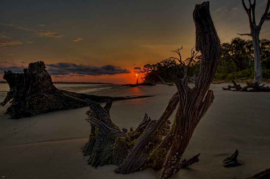 Driftwood Beach HDR 3 Photograph by Jason Blalock