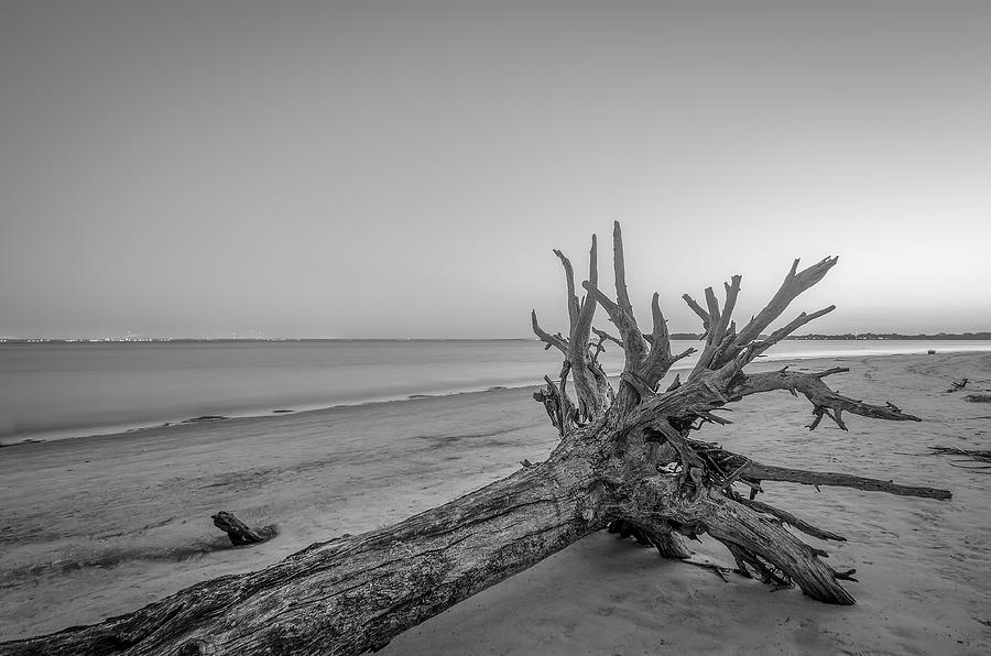 Driftwood Beach Photograph by John Kirkland