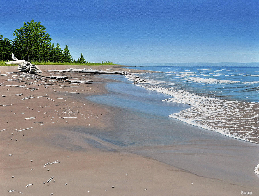 Driftwood Beach Painting by Kenneth M Kirsch