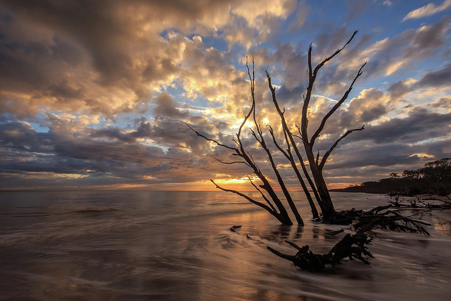 Driftwood Beach Sunrise Photograph by Stefan Mazzola