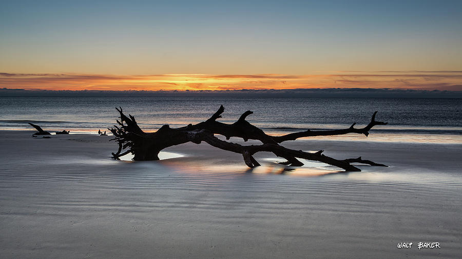 Driftwood Beach Photograph by Walt Baker