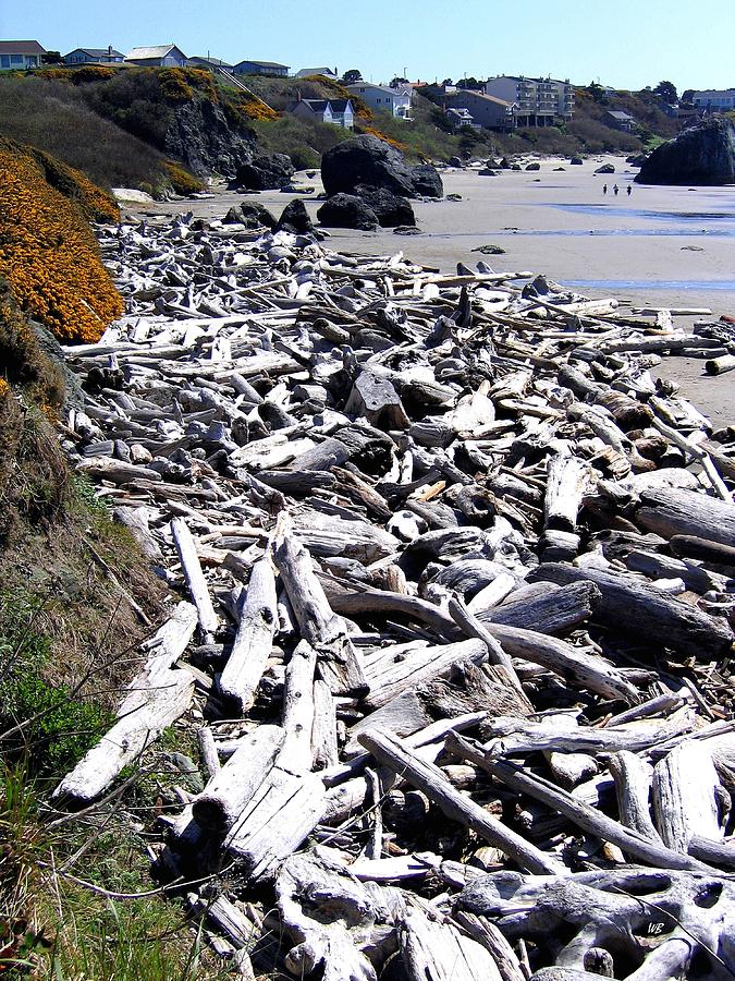 Driftwood By The Ton Photograph by Will Borden